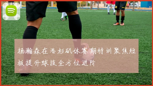 杨瀚森在洛杉矶休赛期特训聚焦短板提升球技全方位进阶
